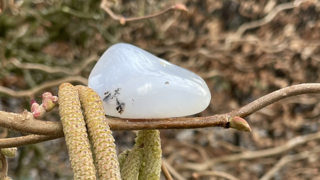 Chalcedon und Haselnuss