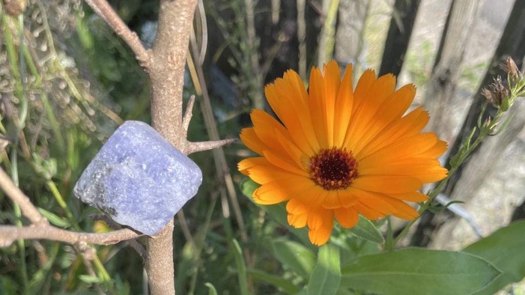 Tansanit und Ringelblume