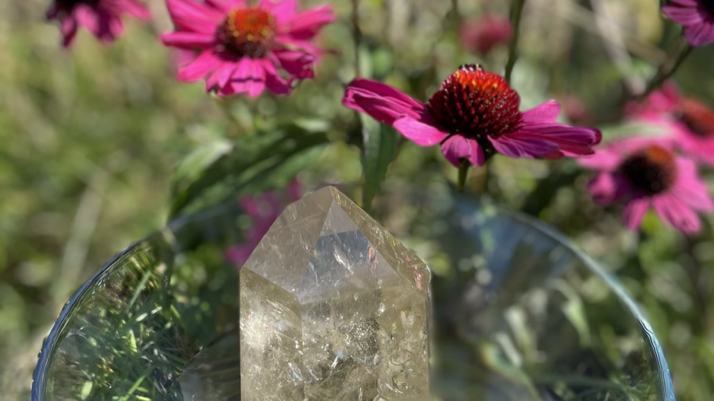 Citrin und Sonnenhut